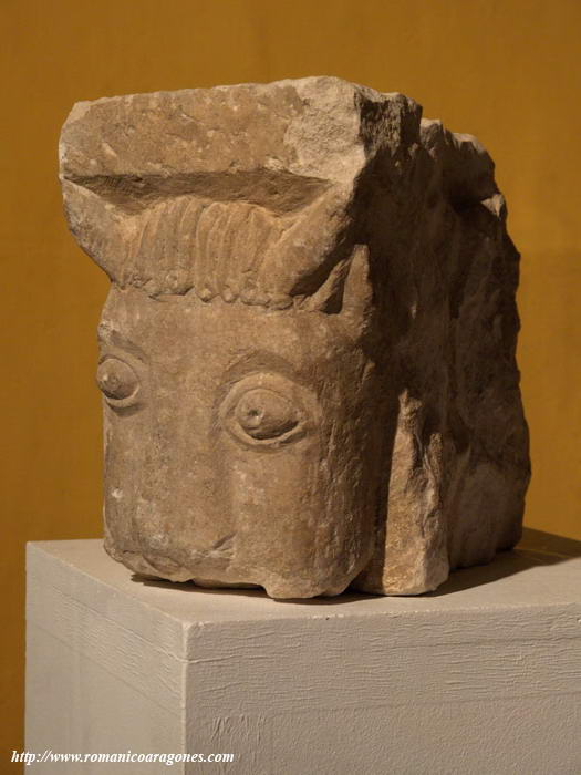 SOPORTE DEL SARCFAGO